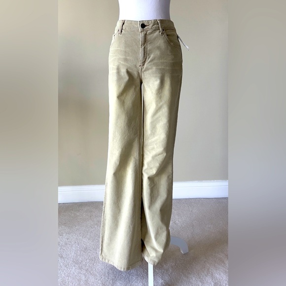 BDG Denim - BDG Urban Outfitters NWOT Wide Leg Cord Baggy Jeans.